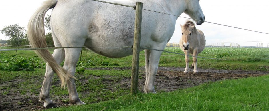 Naar de Bronnegers